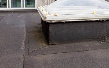disadvantages of Witchampton flat roofs