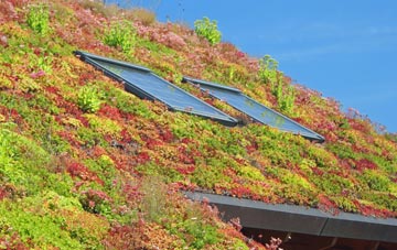 Witchampton living roof systems