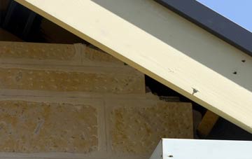 soffit repair Witchampton